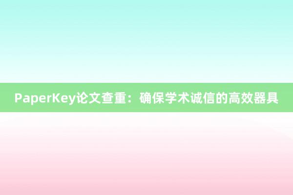 PaperKey论文查重：确保学术诚信的高效器具